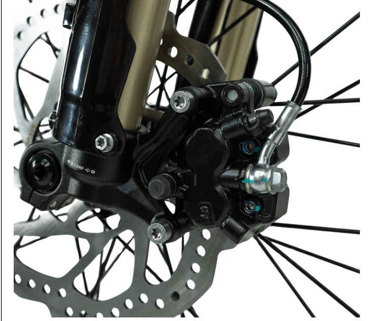 Arctic Leopard XE Pro R (2026)