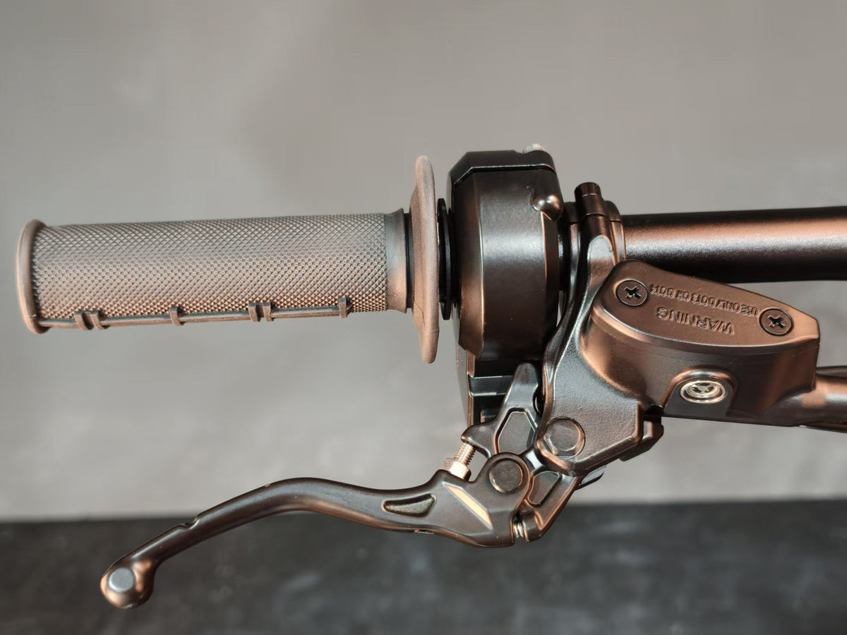E-Ride Pro SE brake lever detail