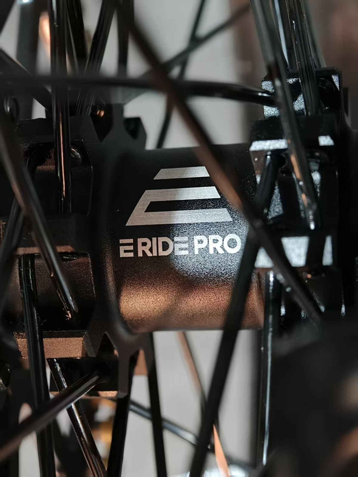 E-Ride Pro SE frame detail