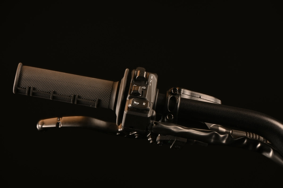 E-Ride Pro SE left switchgear